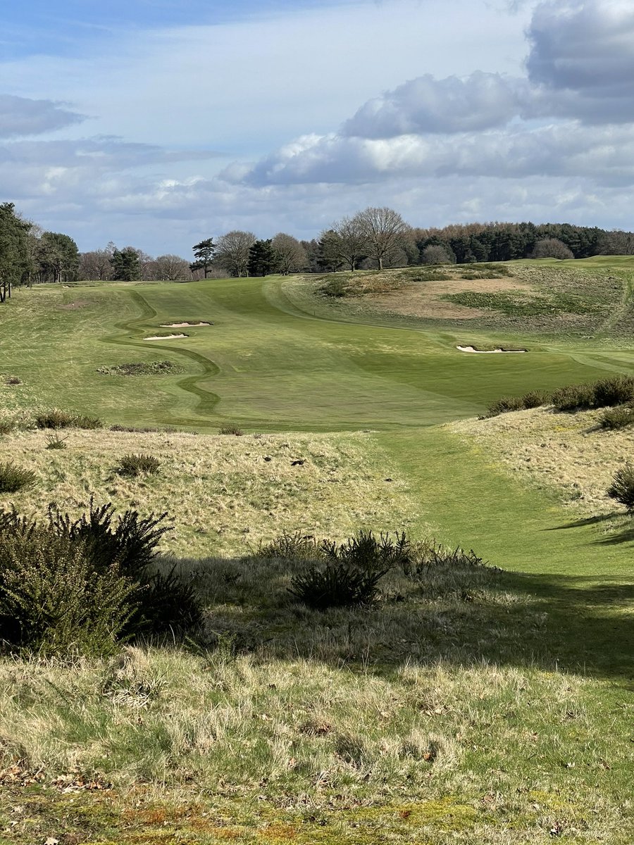 Delamere Forest GC Greens tweet media