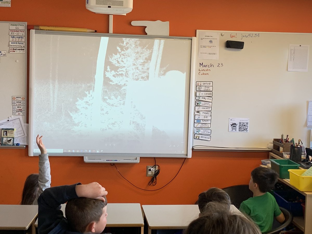 GearyGators's tweet photo. Students in @mrbowering45 and @carrs_mr used clues from this photo to determine what animal had been captured in our trail camera a few evenings ago.  They needed to use: knowledge of NB wildlife, inference, communication and perspective during their conversations. https://t.co/XuyrpcppZ3