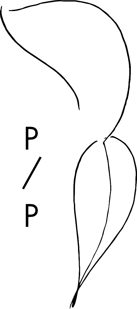 First Citizens' FCU tweet media