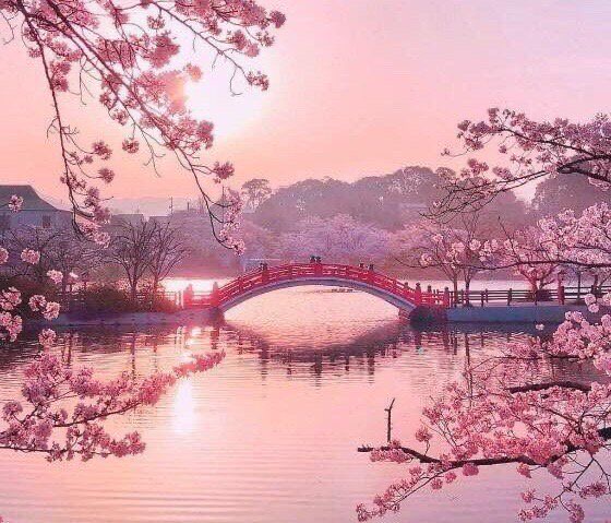 ramblingsloa's tweet photo. Love is the bridge between you and everything.

Rumi https://t.co/aHVQRjcfkW