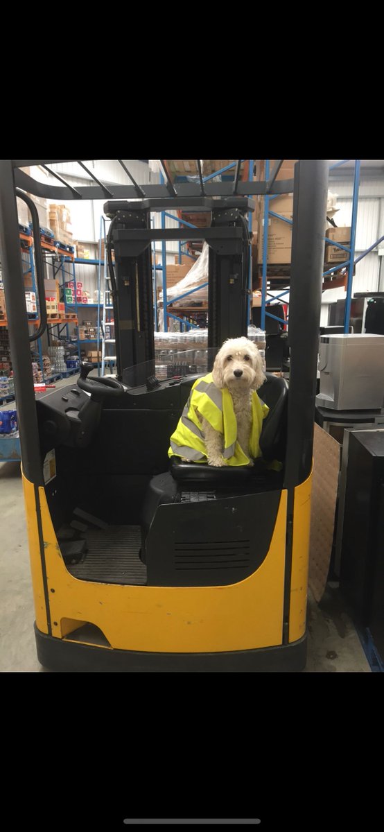 All hands and paws on deck this week!  London has finally woken up and we are getting really busy with installs and demos! Enquire within for a days trial of our equipment or simply book in for a taste test of our drinks! #londoncalling