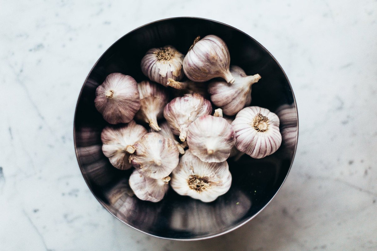 healthyhorsecom's tweet photo. Product of the Week: Garlic Granules. Powerful, palatable, delicious and nutritious! Supports  Equine Digestion and acts as a natural fly repellant. https://t.co/1saqnBo0yx https://t.co/9J0gXWbuI7