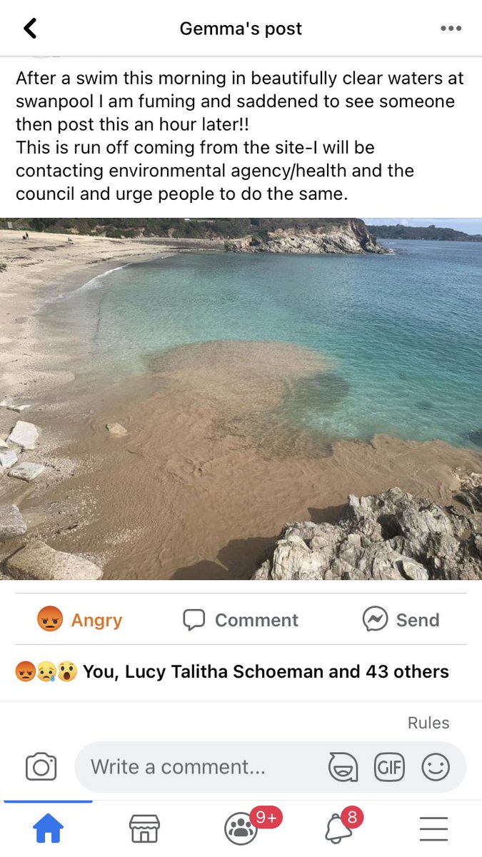 Alison Elvey tweet media