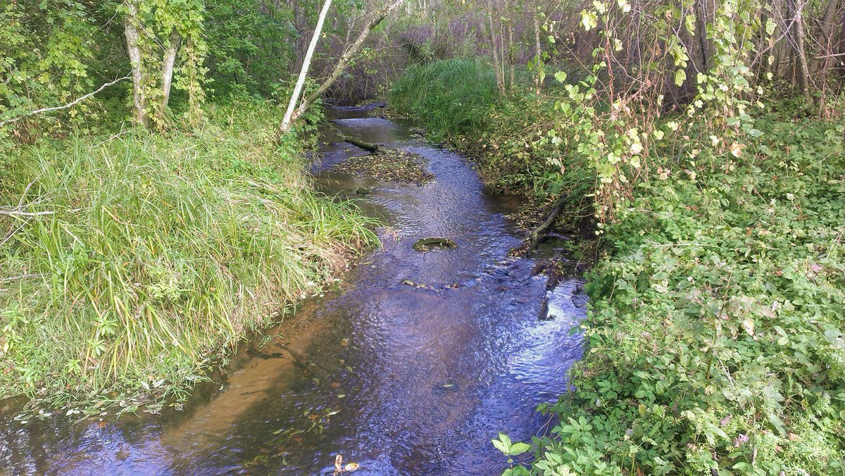 JaakTruu's tweet photo. New research from our team and @KoivVainik. The Effect of the Effluent from a Small-Scale Conventional Wastewater Treatment Plant Treating Municipal Wastewater on the Composition and Abundance of the Microbial Community, Antibiotic Resistome, and ##mdpiwater via @Water_MDPI https://t.co/ZocLapJJ98