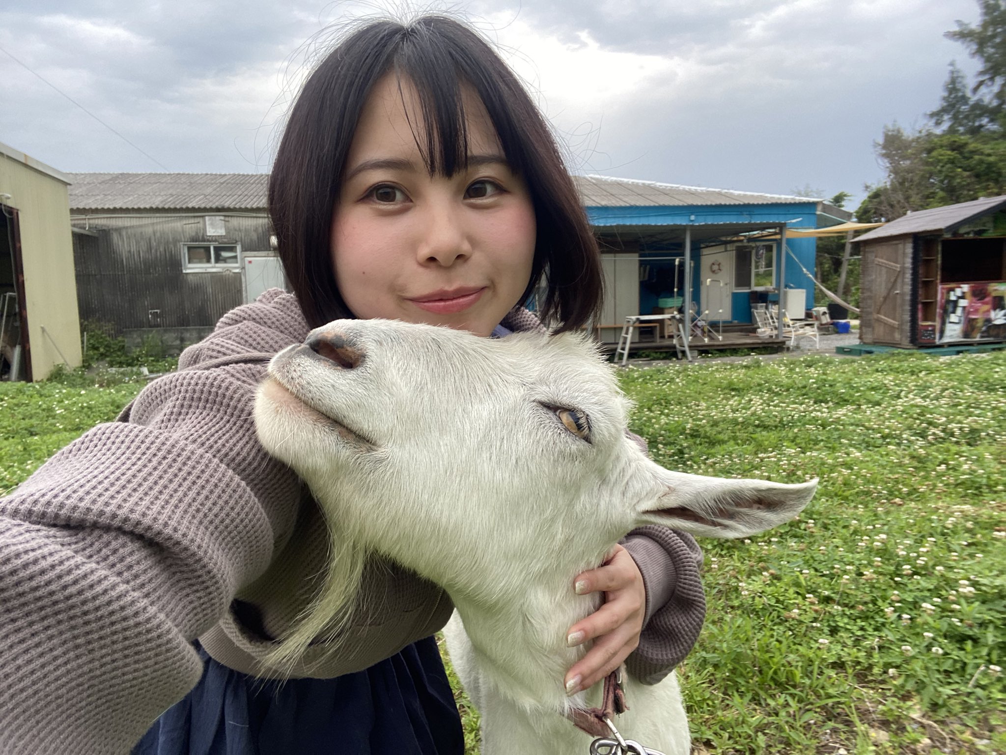 画像,今日の沖縄旅行　あいにくの雨だったので！ゴーディーズ🍔→玉泉洞→琉装体験ひめゆりの塔は工事中でした🥲#さくらこ旅行記 https://t.co/rzePgYd4…