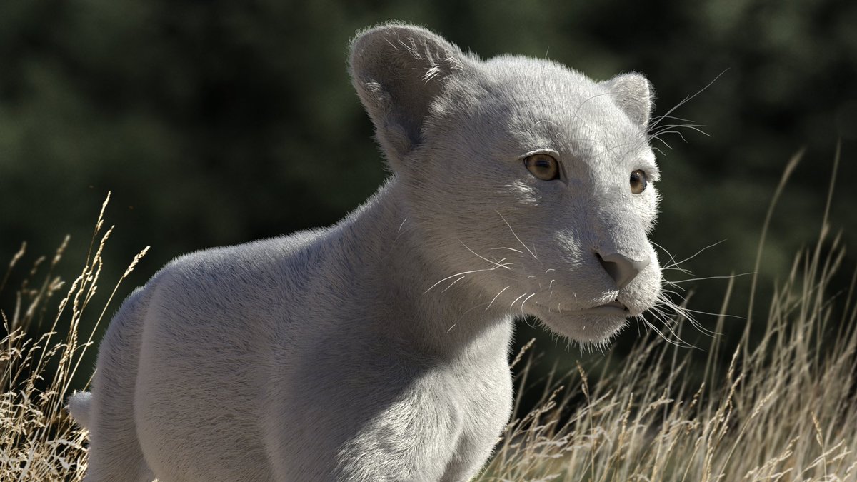 DavisDuke7's tweet photo. Learn how to make realistic hairs with blender. 

https://t.co/tHxrpHMW6Z
https://t.co/njroL8LRXm

#3d #3danimals #animalcharacter #3dmodeling #3drender #3dartist #blendermodel #blender3d #3dartis #3dmodel #SuperbCG #Tutorials #BlenderTutorial https://t.co/AY4RxZGg7d
