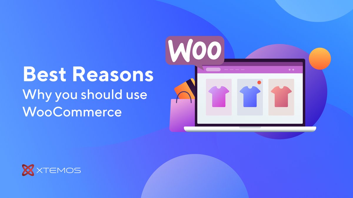 Xtemos WordPress Themes tweet media