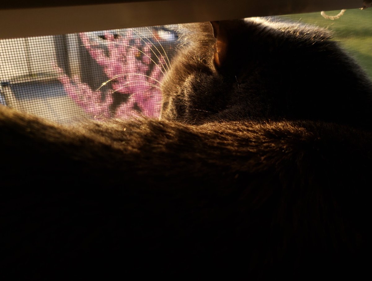 Catalyst (gay_catalyst) Twitter