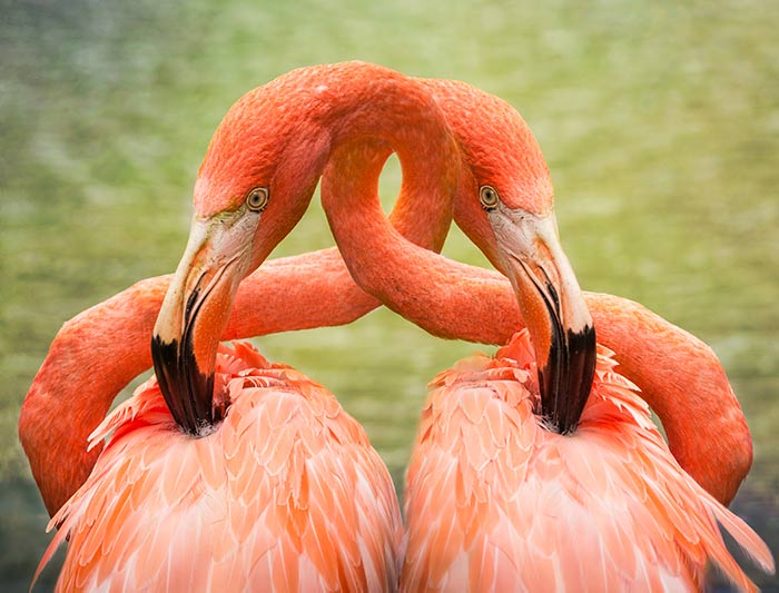 savethetweets2's tweet photo. dfsdfsdfsdfsdfsdfsdf https://t.co/o3E3RViZFE