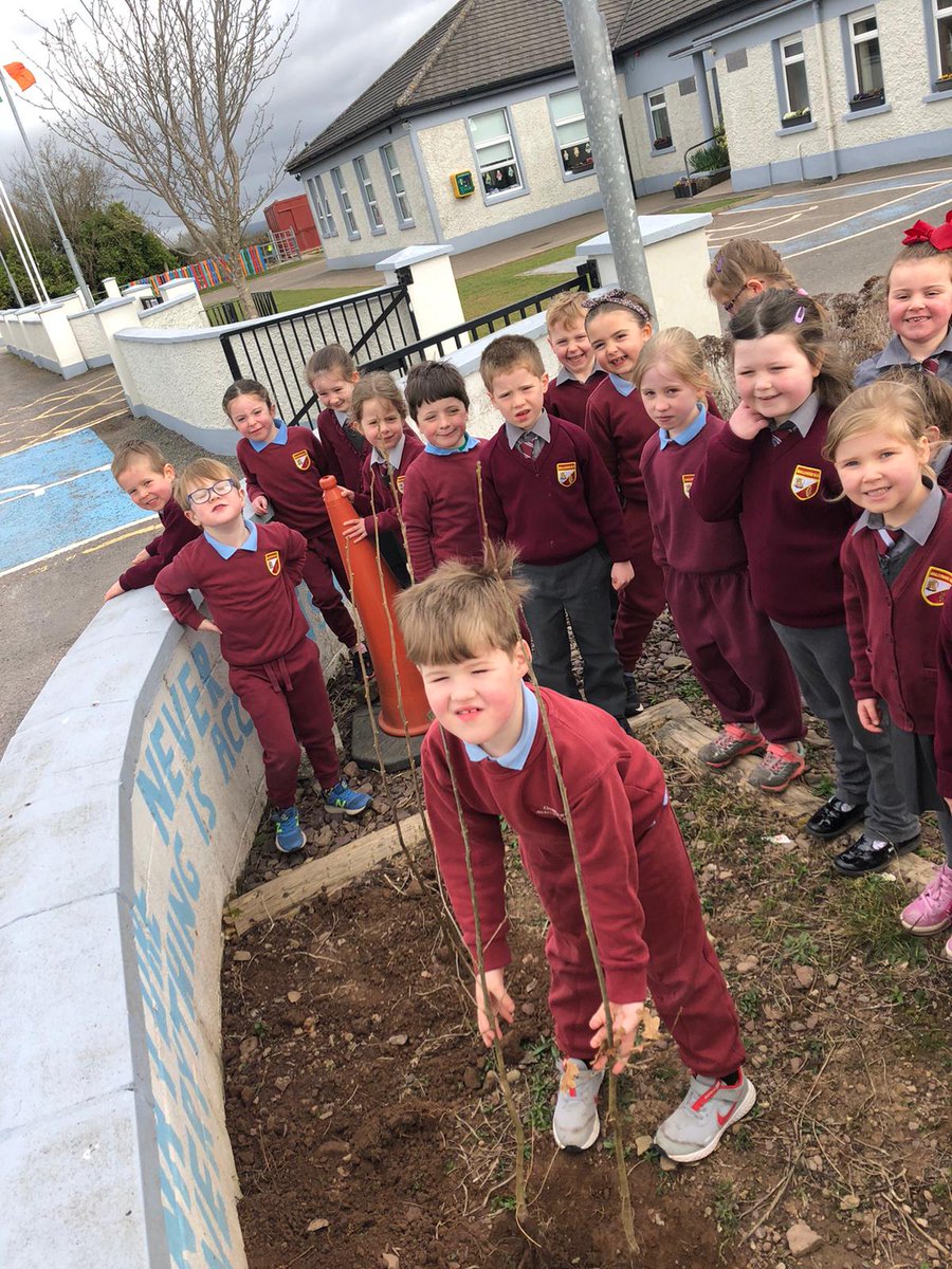 Ballynoe_NS's tweet image. Ms. Beirne&apos;s infant class planting native birch trees kindly donated to our school by @CSPCA_Cork.
(Thanks to Billy and Ruben in 6th Class for assisting with driving the shovels)
#NationalTreeWeek2021