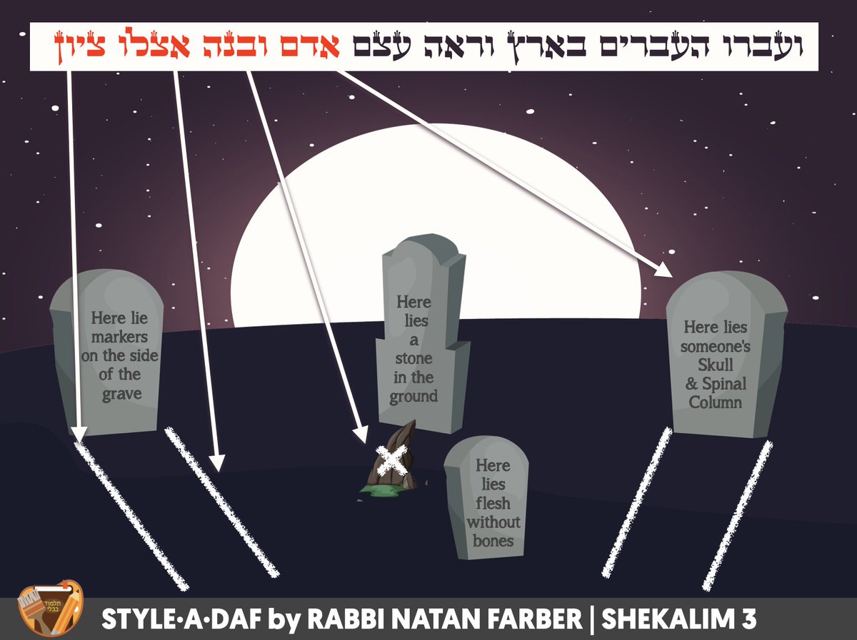 StyleADaf's tweet photo. MARKING GRAVES
WHO IS OBLIGATED TO CONTRIBUTES HALF-SHEKALIM?
#StyleADaf
#Shekalim3 https://t.co/UGjYLpy4VI