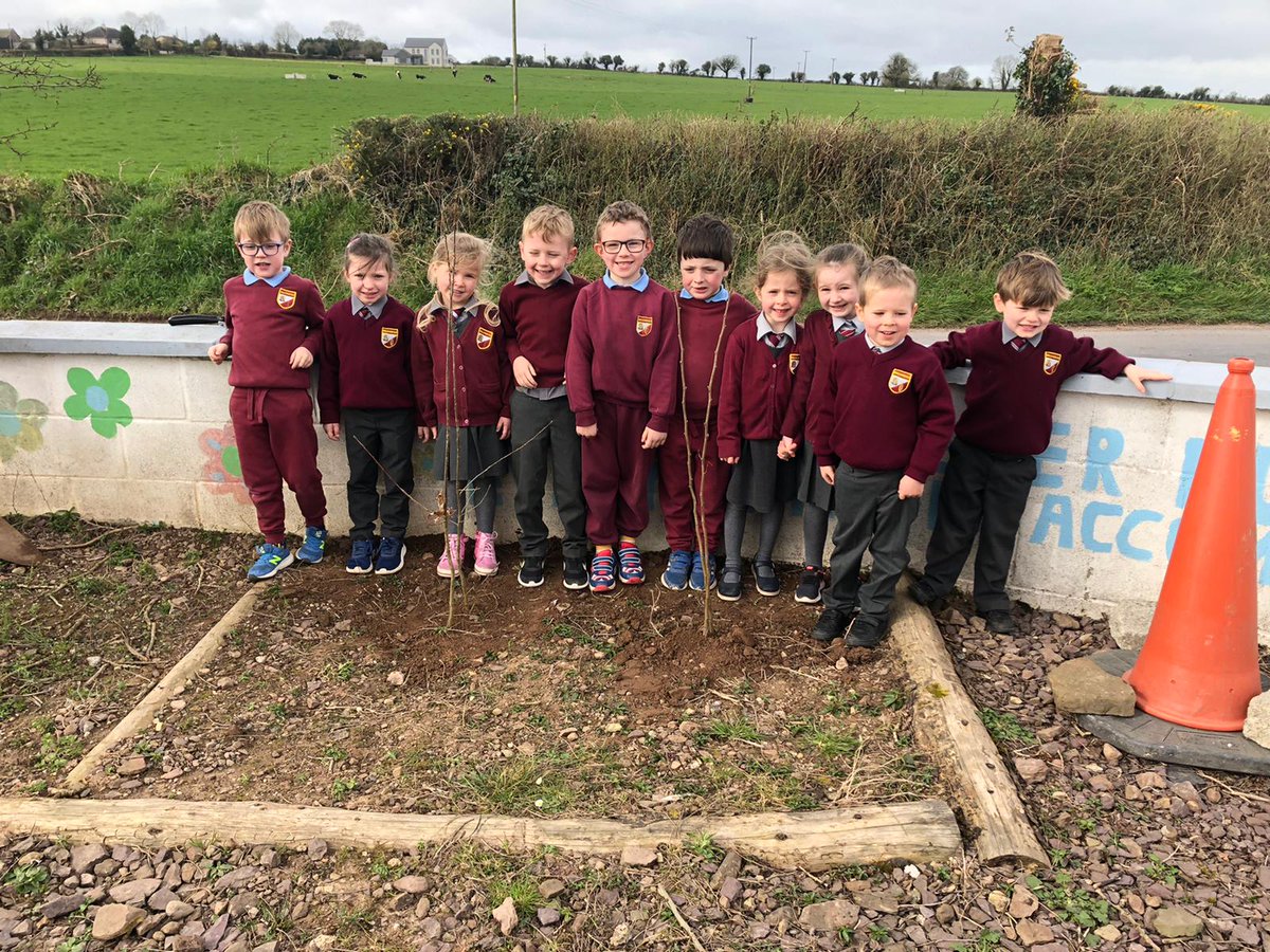 Ballynoe_NS's tweet image. Ms. Beirne&apos;s infant class planting native birch trees kindly donated to our school by @CSPCA_Cork.
(Thanks to Billy and Ruben in 6th Class for assisting with driving the shovels)
#NationalTreeWeek2021