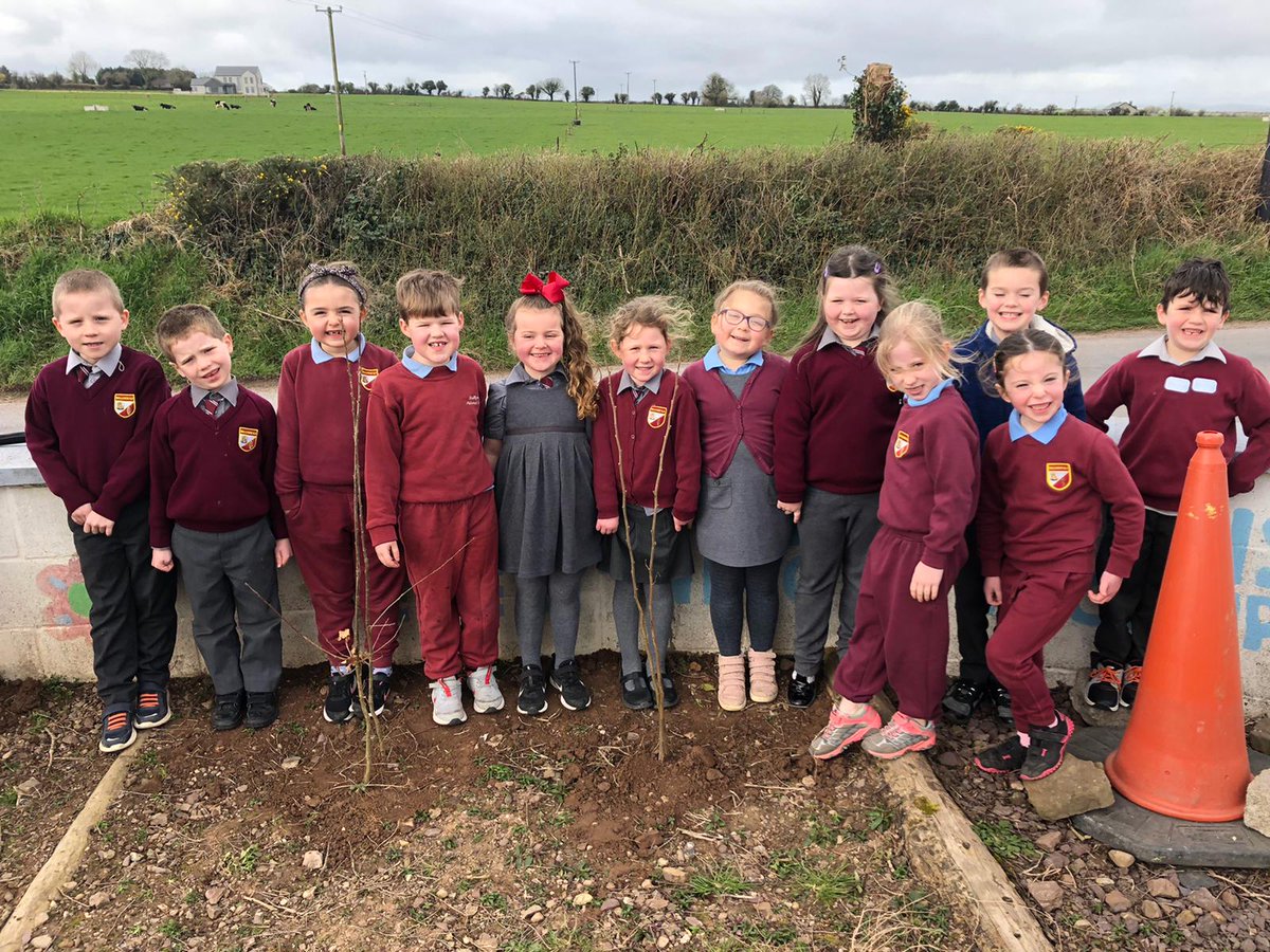 Ballynoe_NS's tweet image. Ms. Beirne&apos;s infant class planting native birch trees kindly donated to our school by @CSPCA_Cork.
(Thanks to Billy and Ruben in 6th Class for assisting with driving the shovels)
#NationalTreeWeek2021