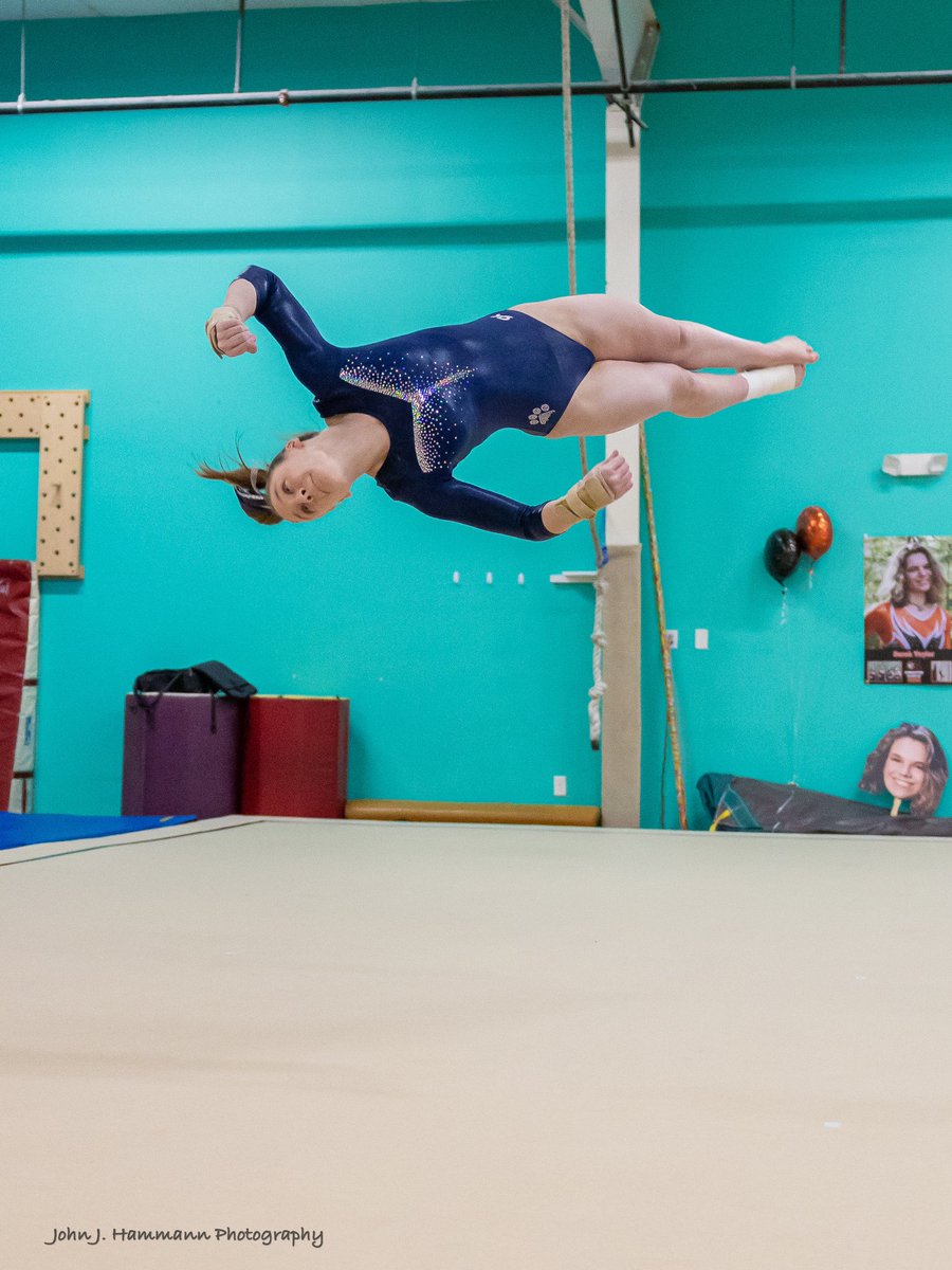 FHS Gymnastics tweet media