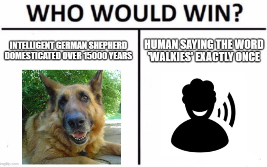 There's only one winner! 🤣

#germanshepherd #germanshepherds #germanshepherdpuppy #germanshepherdpup #germanshepherddog #gsd #gsdofinstagram #gsdpuppy #gsdlife #gsdlove #germanshepherdsofinstagram #germanshepherdpuppies #germanshepherdpuppiesofinstagram #gsdoftheworld