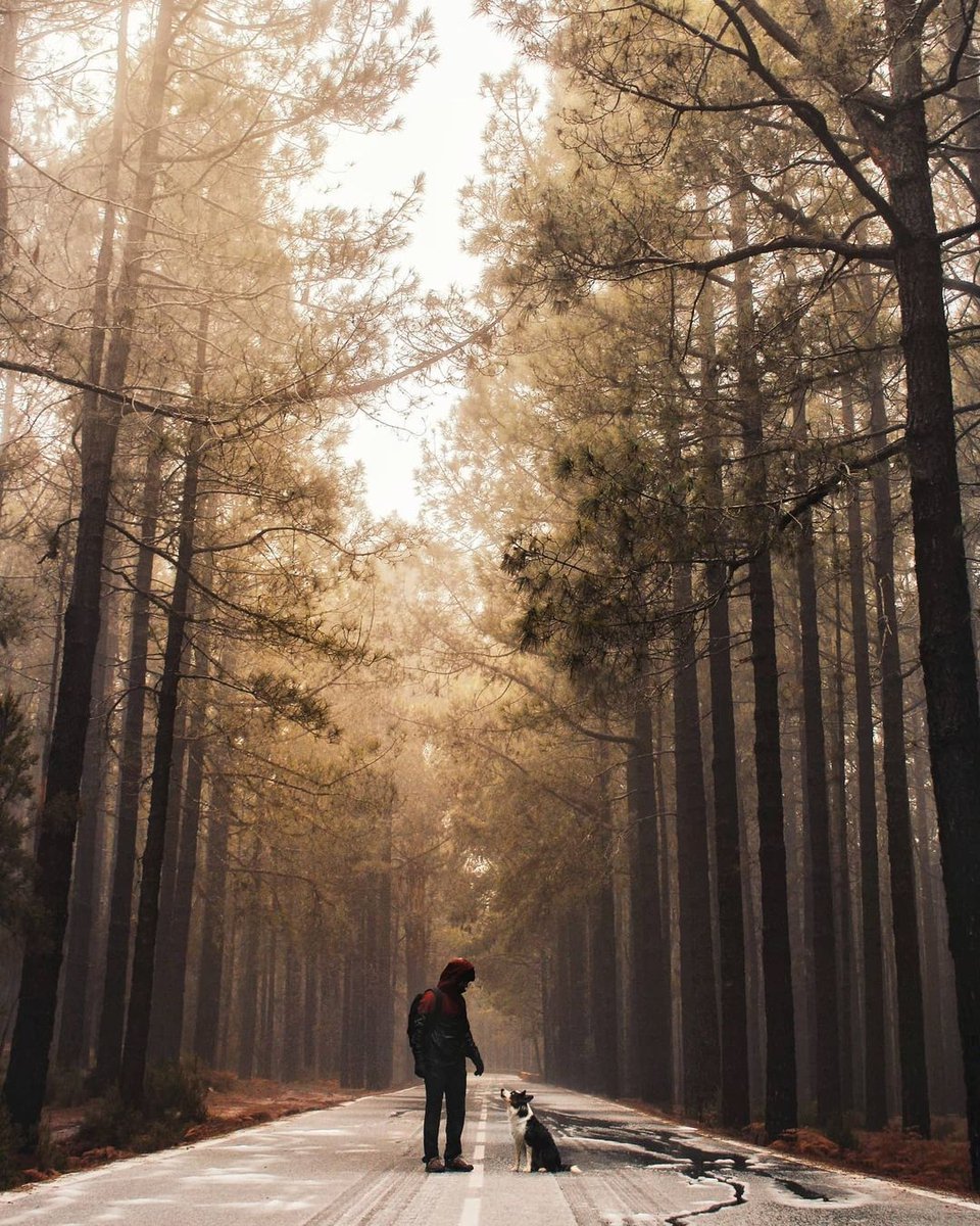 TarionEU's tweet photo. Awwwww. ❤️
Credit to @igna.ferriol
#canonistas #canonphotographers #canonfeed #canonfotografie #canonglobal #bordercollie #stayandwander #bordercollienation #hikingdogsofinstagram #dogsthathike #spacewheel #adventurevisuals #weeklyfluff #hikingwithdogs #thevisualcollective https://t.co/qOXw3yiqjo