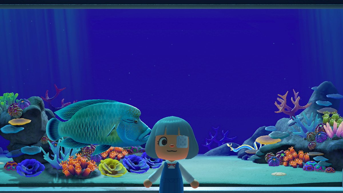 duatnba's tweet photo. #動物森友會 #AnimalCrossing #ACNH #NintendoSwitch https://t.co/IEmFSMgpXM