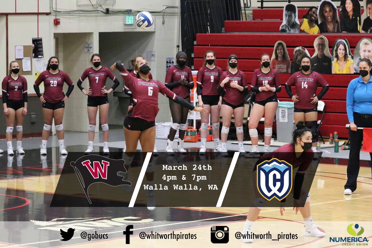 gobucs's tweet photo. Volleyball takes the court one more time today at Whitman‼️ No spectators are allowed, but you can stay updated at: https://t.co/r7KKtx26Bk ➡️ volleyball ➡️ schedule ➡️ find today’s game ➡️ click on ‘video’ or ‘live stats’ 🏐 #BucsVB https://t.co/sVEbLFDYbl