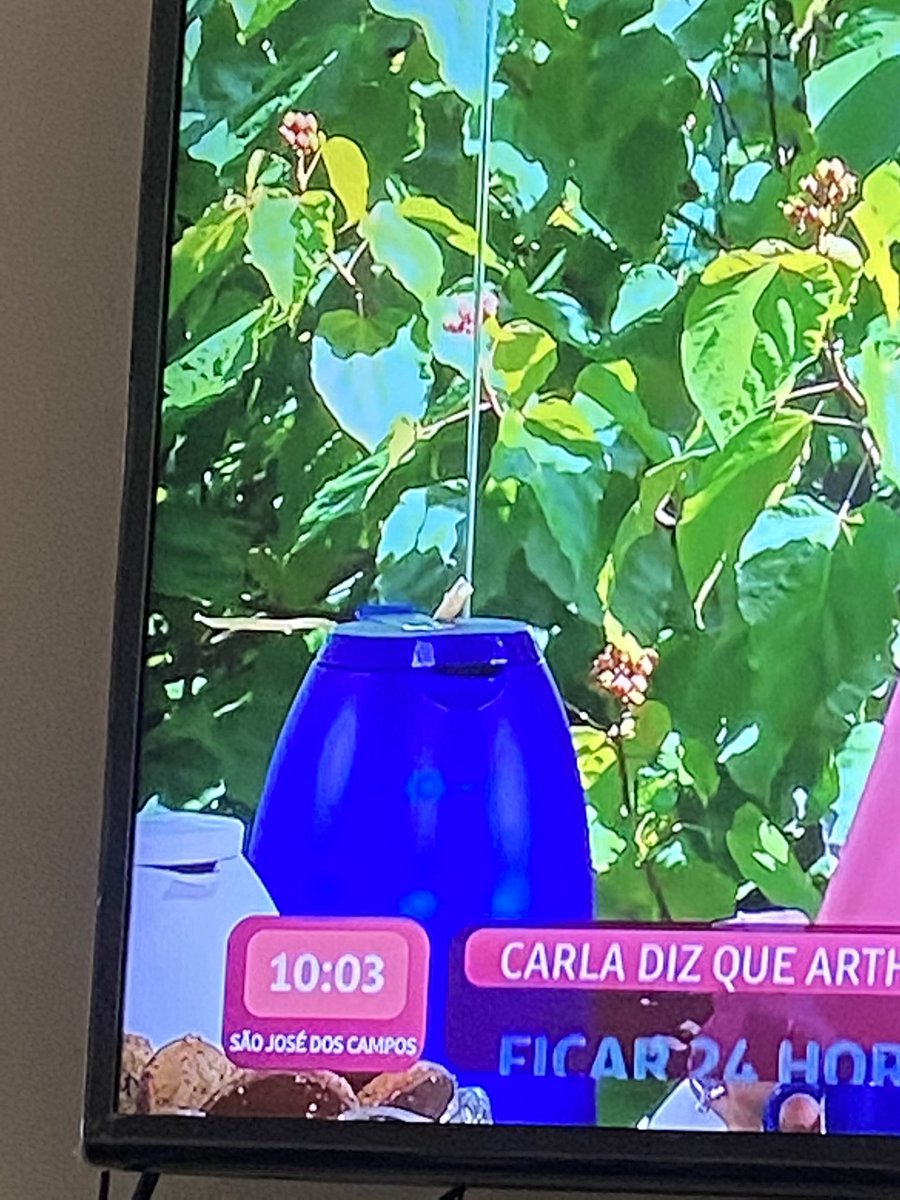 maislazaroo's tweet photo. Olha o lacinho na garrafa @Fernanda_Gentil 👀🙊! https://t.co/eusEdLNWOM