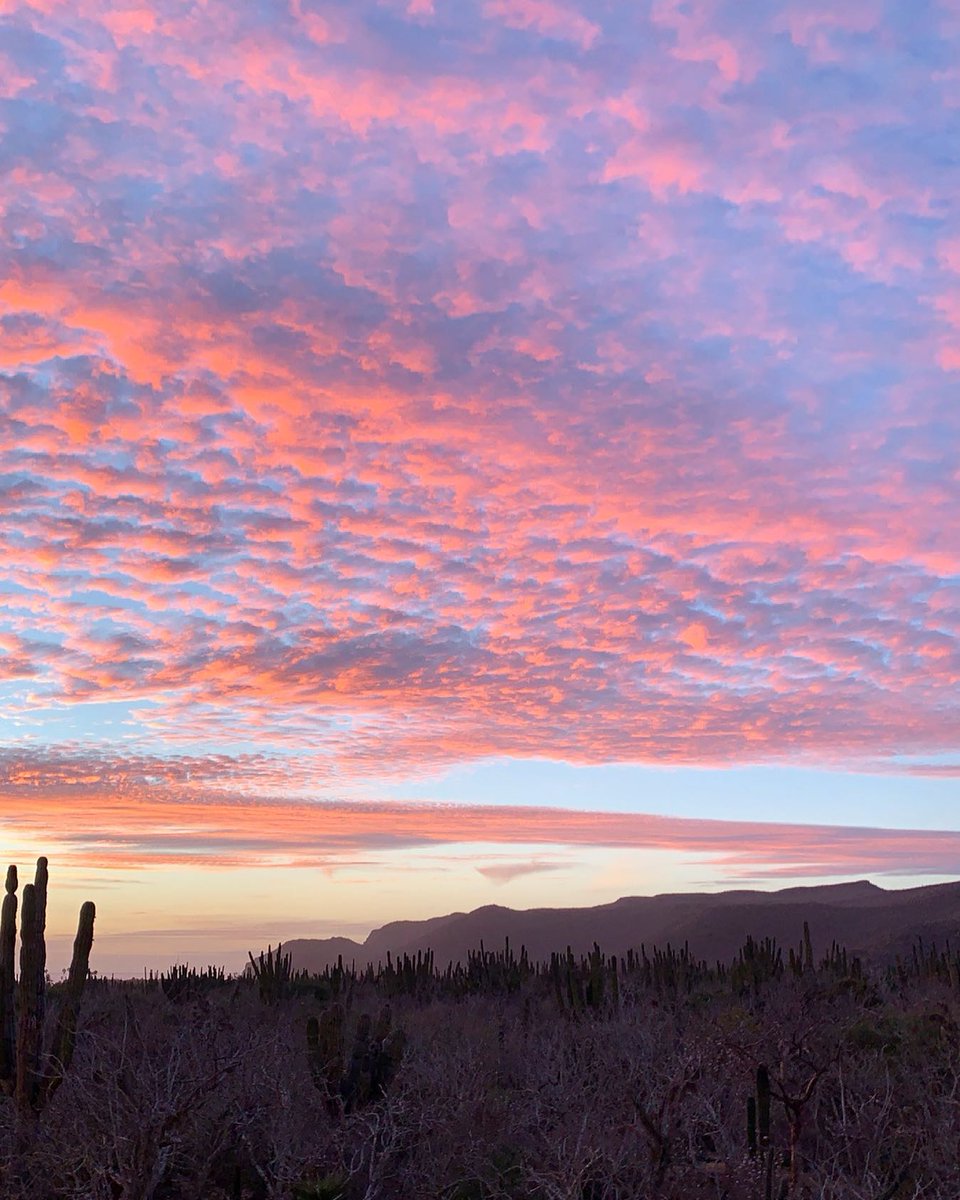 On tonight's menu: Authentic Baja Cotton Candy skies.