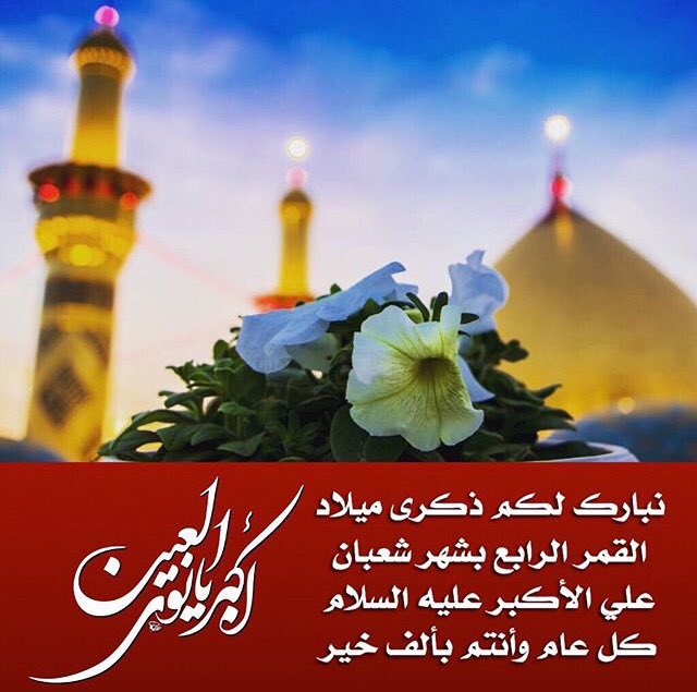 حمامة السلام🕊 tweet media