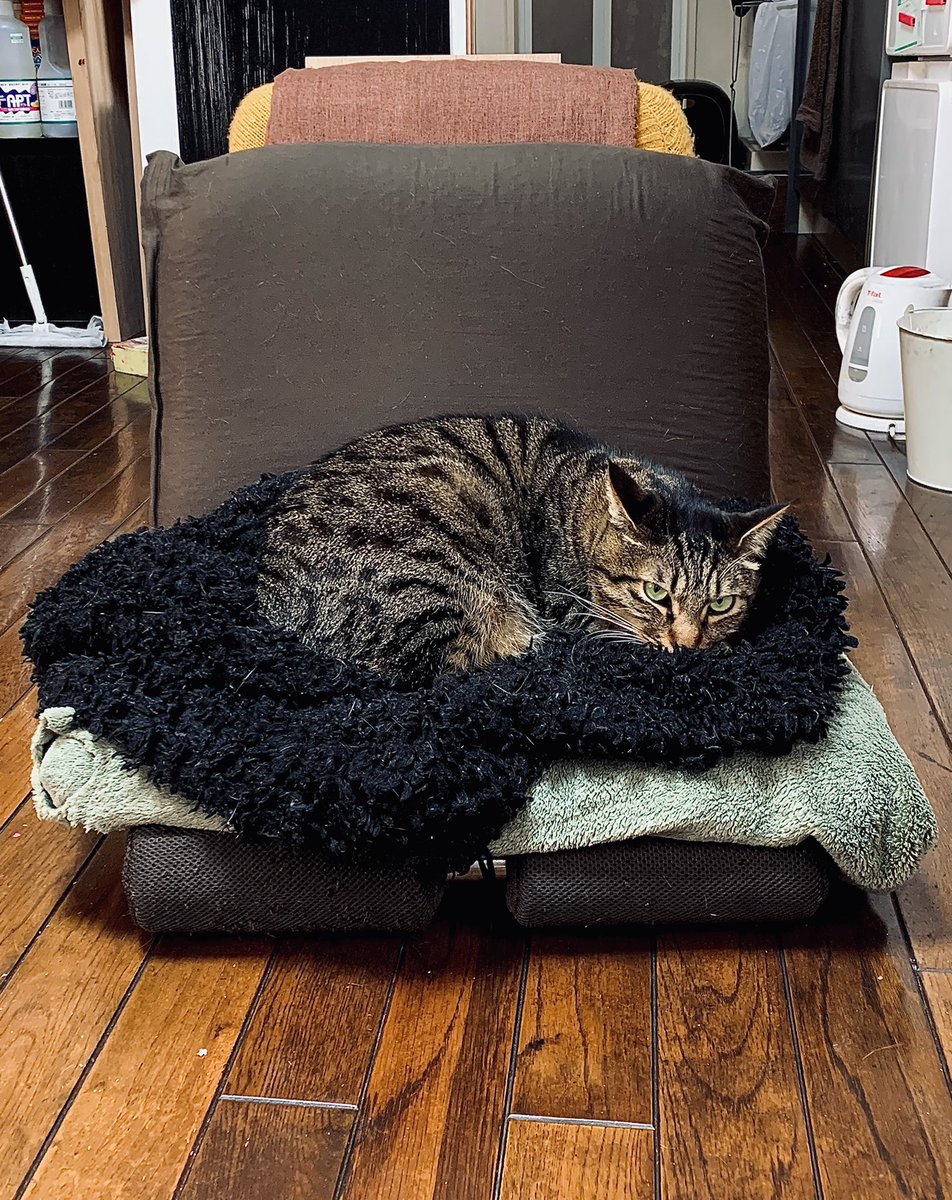 kihara0529's tweet image. 本画の油彩と日々の筋トレの為の5分間ドローイング #5minutesdrawing #mercari

#SOSUKE
#hornet

mercari
mercari.com/jp/u/678593866/ 

tumbler
chiharukihara.tumblr.com

instagram
instagram.com/chiharukihara/…

YouTube
m.youtube.com/channel/UC1ah1…

facebook 
m.facebook.com/kiharachiharu/