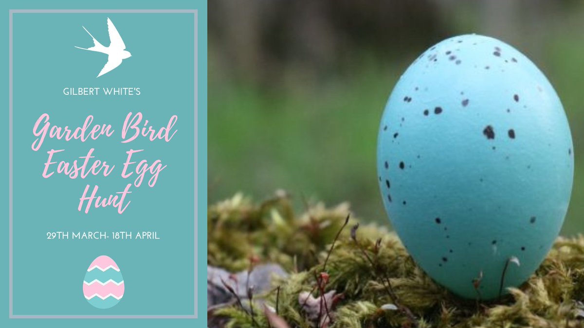 GilbertWhites's tweet photo. An Easter Egg Hunt with a twist! 

Find Out More: https://t.co/SlXcxhYy9k https://t.co/iebZYu5fKP
