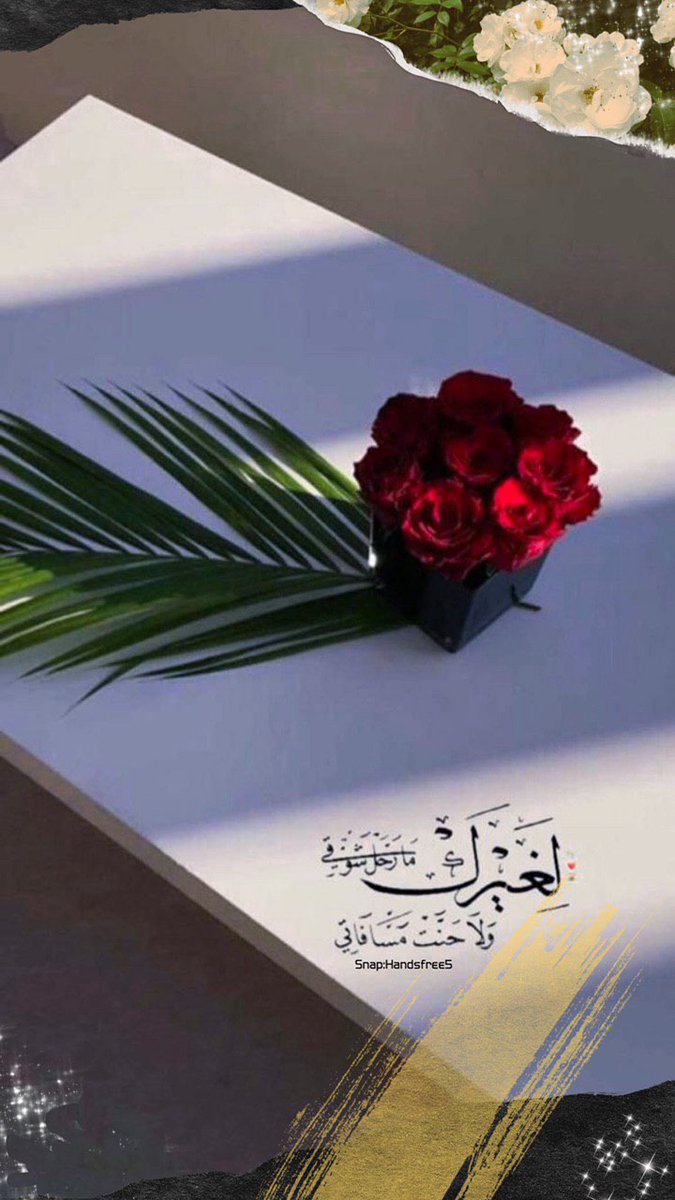 و إن ڪانت الأماڪن تخلـ໑ منڪ
فإني أࢪاڪ بـ۶ـين قلبي في ڪل مڪان❤️💛
.
ـ