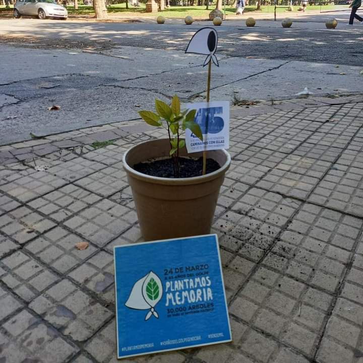FetraesMdP's tweet photo. Este 24 de marzo en Mar del Plata #PlantamosMemoria, sembramos futuro.🌱🌳
Imágenes de  nuestros espacios Comunitarios!!

#45AñosDelGolpeGenocida
#son30mil https://t.co/nWhn2FJzuY