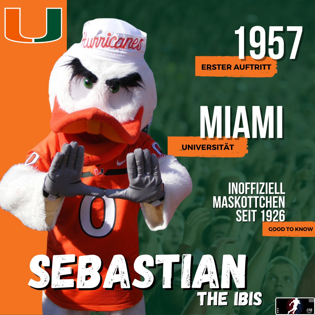 CFBNetworkDE's tweet photo. @UM_Sebastian https://t.co/S1lvwymlul