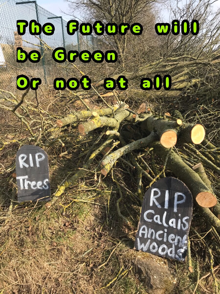 mum_pumpkin's tweet photo. Not so fast @FifeCouncil ! how’s protecting #CalaisWildlife from road development going ? #GreenVision #RightOfWay #PathsForAll #SolutionNotPollution #ToadsNotRoads #TreesNotTarmac #AncientWoodsNeedsYou #PollinatorsNotPollution #ClimateActionInYourArea #No2Road https://t.co/P9j9MYkW2p