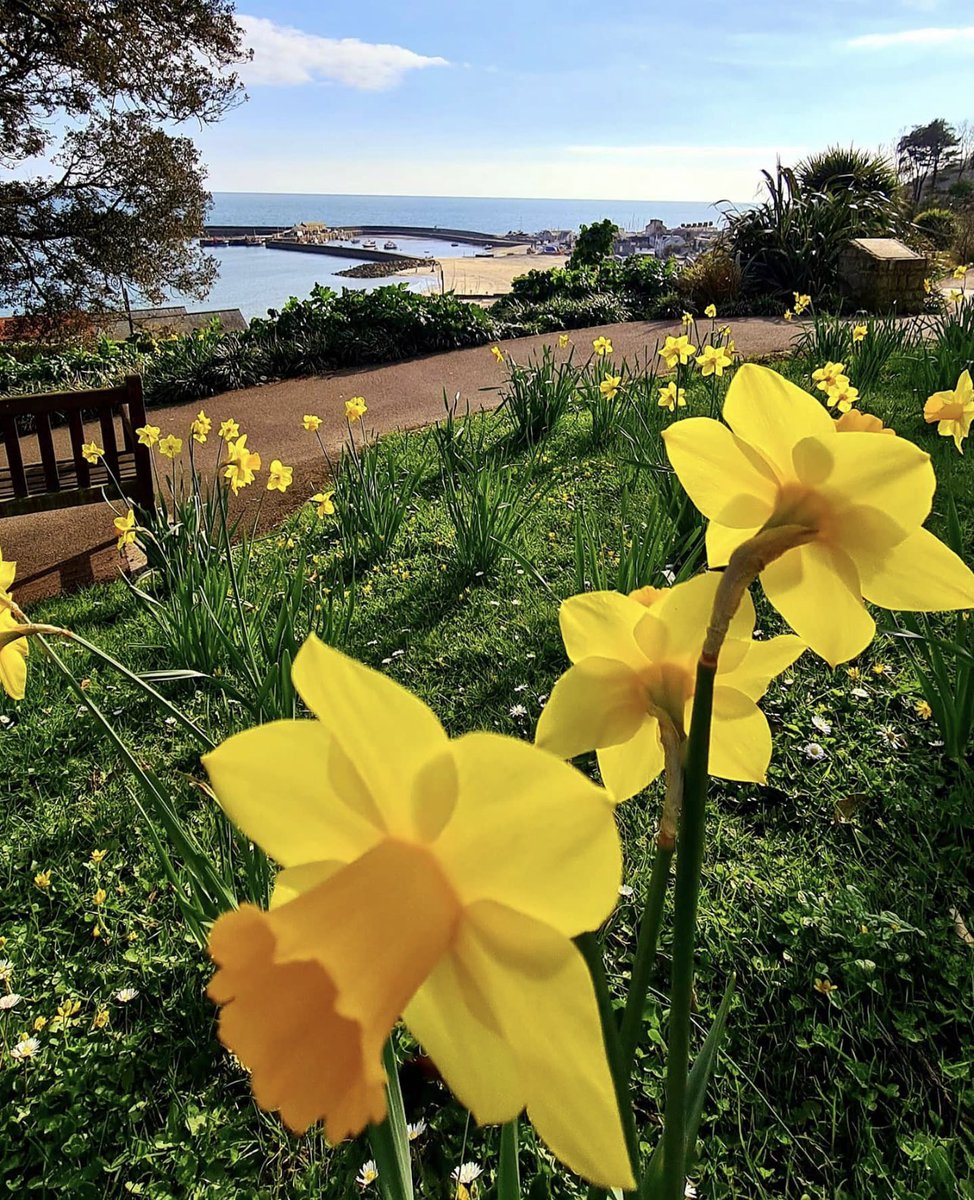 Littletripsapp's tweet photo. Spring has officially sprung!! 💐 What’s everyone’s favourite thing about this time of year? 🌞 https://t.co/esACRNn03M
