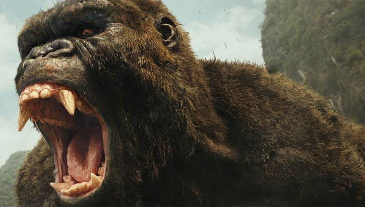 Anunció | 🚀

De parte del staff de este gran equipo. 

Nos declaramos #TeamKong  y ofrecemos nuestro apoyo total en la gran batalla de  #kongvsgodzilla 

Ánimos mi rey chango!! 🙈🐒