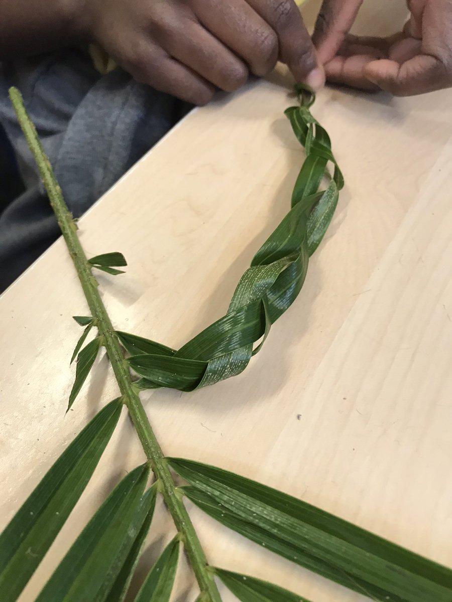 Plaiting the palm fronds & getting those fingers working in Year 2. Thank you @MarketFlowers the palms are perfect! @ReayMrs @ReayPrimary @MrsAndrewsReay