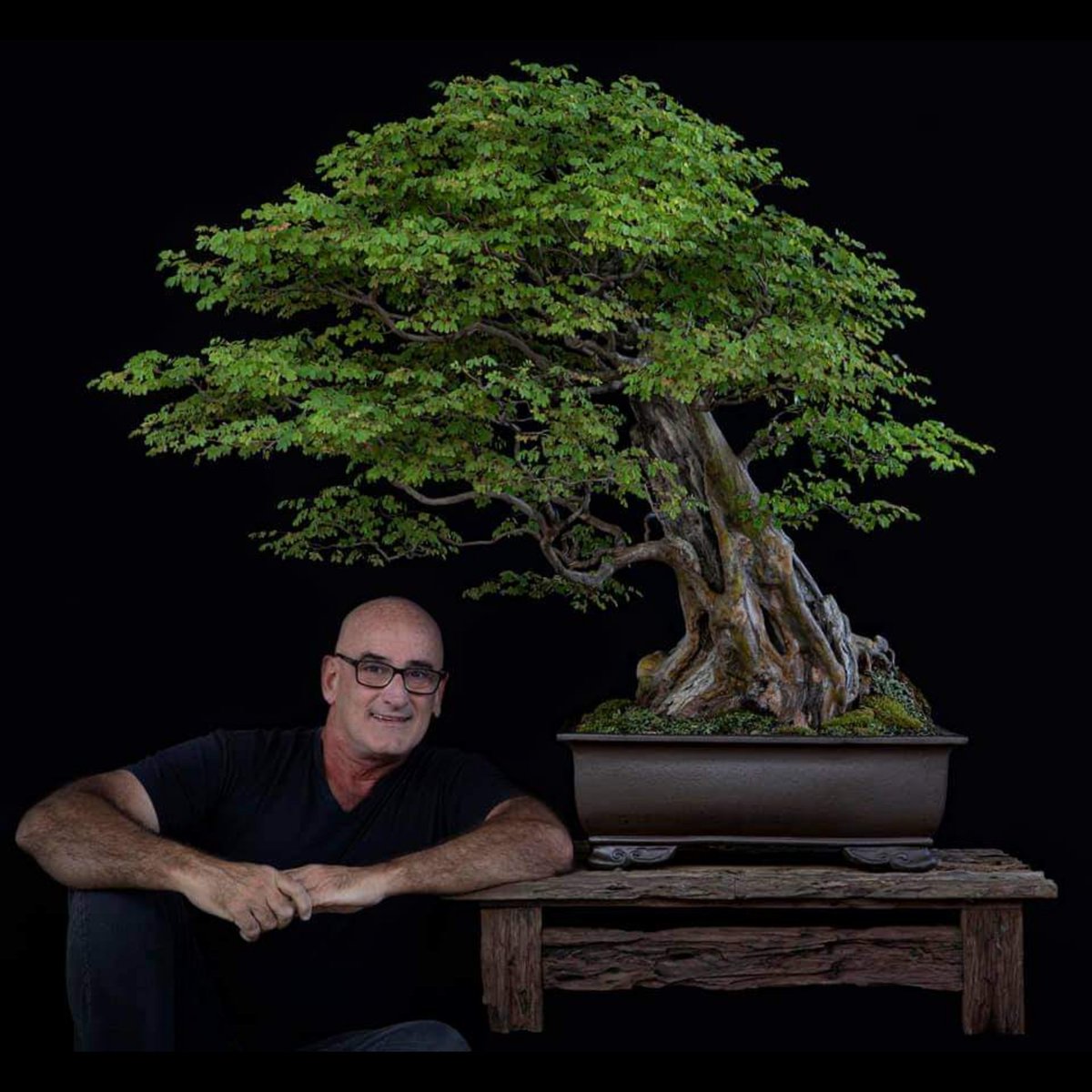 bonsaimente's tweet photo. Caesalpinia Ferrea del maestro venezolano Nacho Marín.

¡Disfruta de su estética, pasión y referencias, en su cuenta de Instagram @nachomarin_art sin duda te seducirá!

#Bonsai #盆栽 #บอนไซ  #분재 #бонсай #盆景 #Penjing #HagamosBonsai #BonsaiLatino https://t.co/g44BO61550