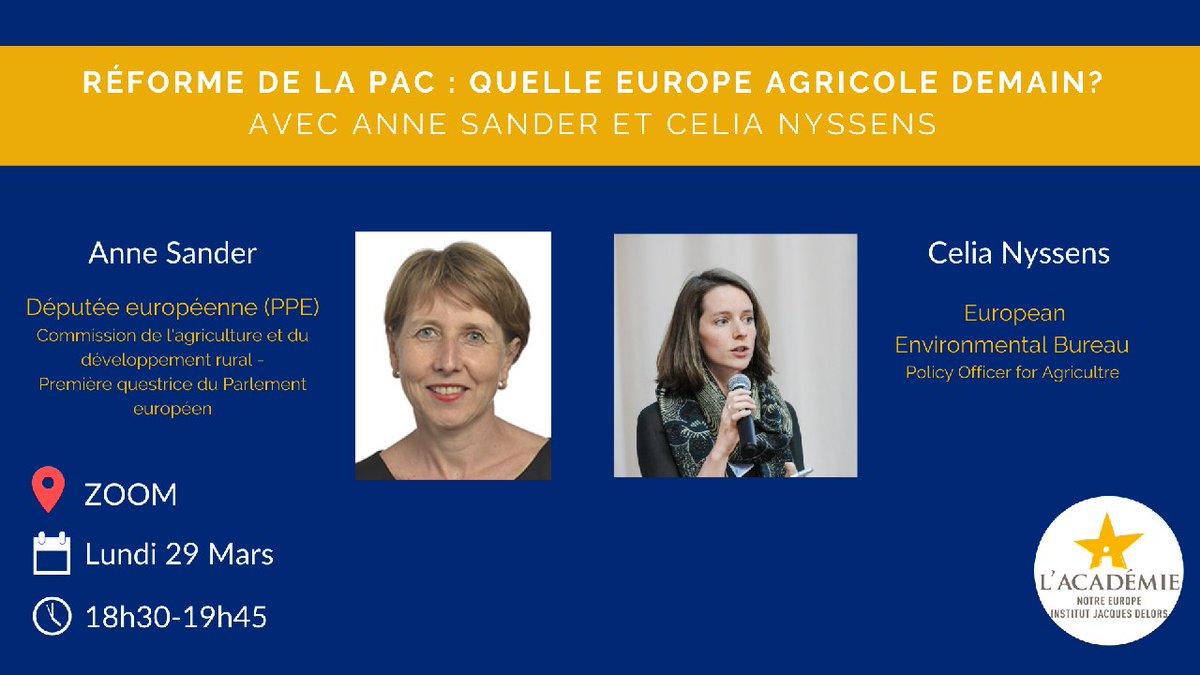 Alumni de l'Académie Notre Europe tweet media