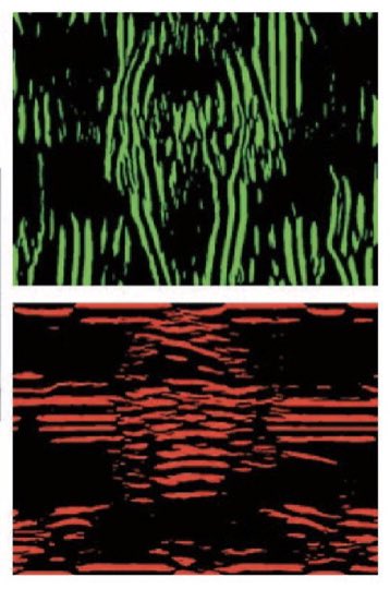 KatieTregillus's tweet photo. We used altered-reality to induce the McCollough Effect. The paper is out today in Vision Research. 

https://t.co/6m6tvk9O36 https://t.co/CP8vQlqr6L