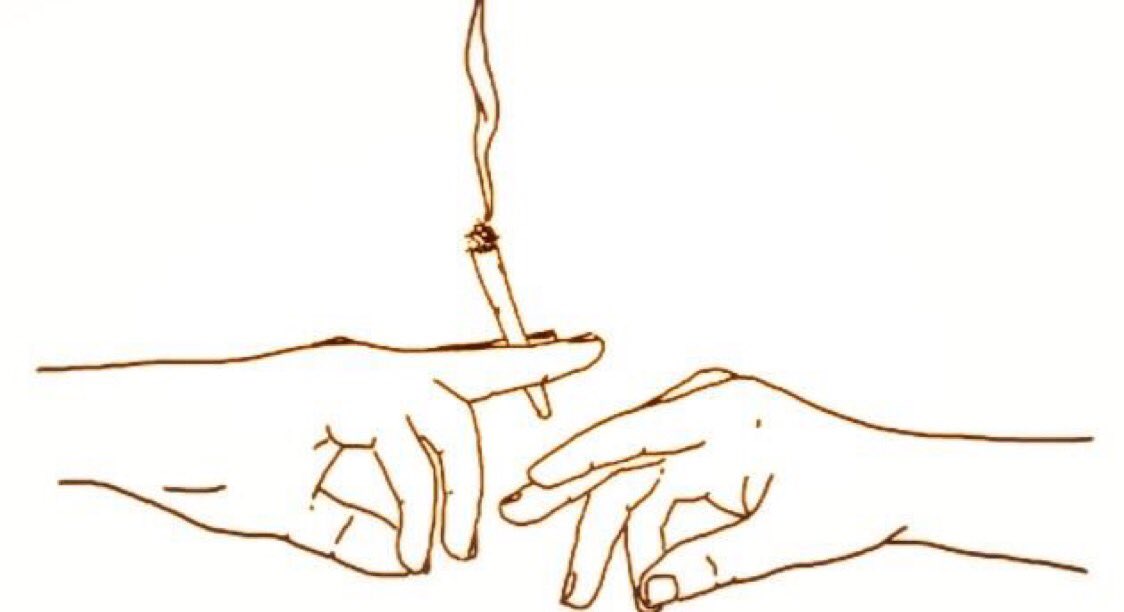 weedfact's tweet photo. Let’s pass this one around the world! https://t.co/5b84L0CMTk