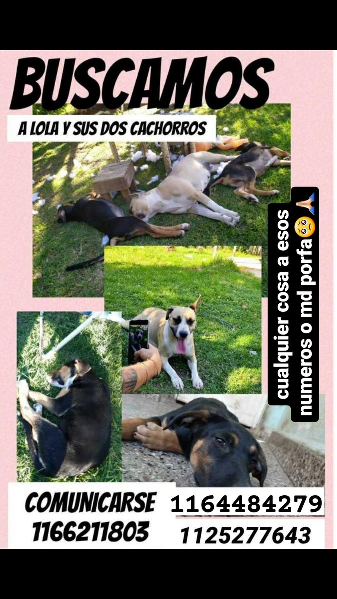 se re agradece el rt🥺