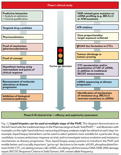 NatRevClinOncol's tweet photo. In a new Perspective article, Johann de Bono and colleagues discuss the potential applications of liquid biopsy in the Pharmacological Audit Trail for anticancer drug development: https://t.co/8v2OFNUE5c @ManuelSelvi @DrAbhiPal @DrRajivNShinde  @ICR_London https://t.co/FIdt6jEMSX