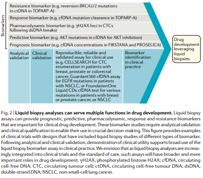 NatRevClinOncol's tweet photo. In a new Perspective article, Johann de Bono and colleagues discuss the potential applications of liquid biopsy in the Pharmacological Audit Trail for anticancer drug development: https://t.co/8v2OFNUE5c @ManuelSelvi @DrAbhiPal @DrRajivNShinde  @ICR_London https://t.co/FIdt6jEMSX