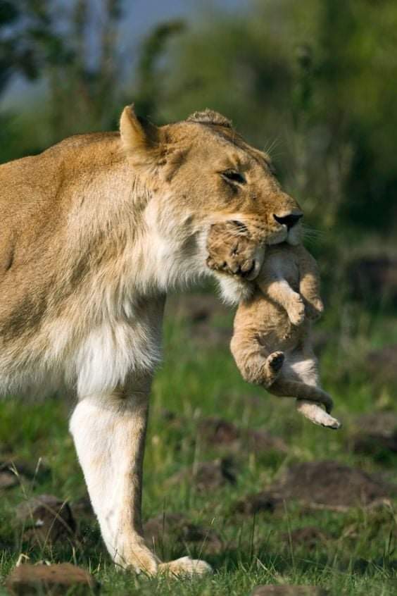 ���� ���� ������ �� ���� ������