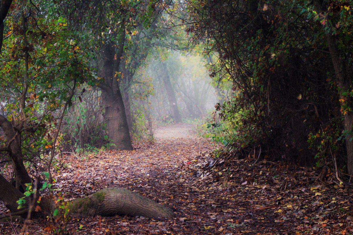 visitCAdelta's tweet photo. We're celebrating our #BestoftheDelta winners with the Best Nature Area or Trail! Cosumnes River Preserve is centered along the Cosumnes River, with opportunities for paddling, hiking, and nature viewing. Find more places to explore at https://t.co/oZVKRcN1Rf. #VisitCADelta https://t.co/EcOA8qIg1X
