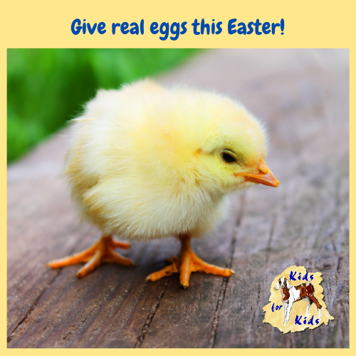 KidsforKids tweet picture