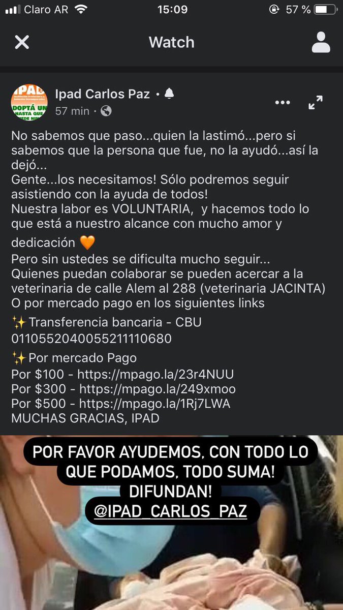 paulabramajo1's tweet photo. Ayudémosla, difundan porfavor no cuesta nada https://t.co/DndTxnh3nx