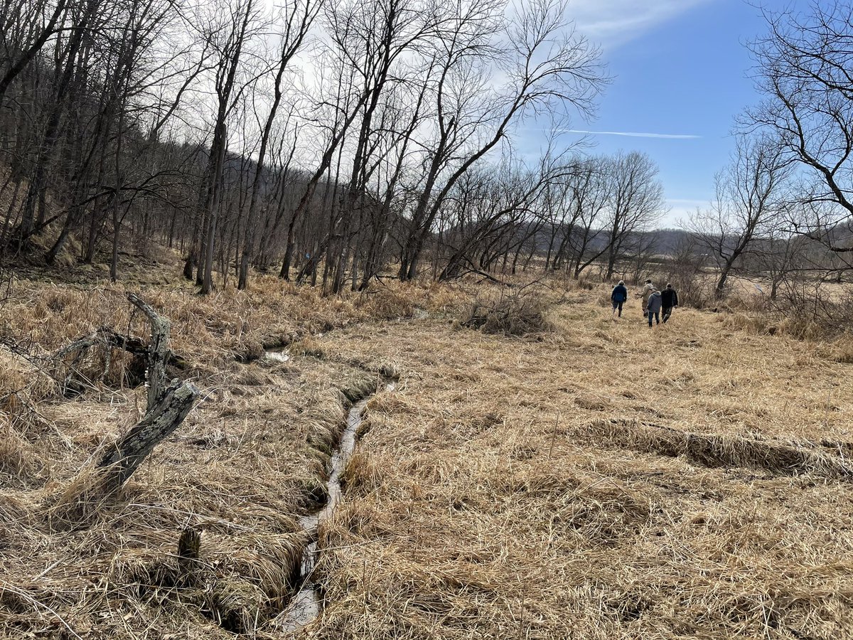 KyleMagyera's tweet photo. It was a Sunday Funday exploring floodplain wetlands of the West Fork of the Kickapoo with the Valley Stewardship Network. Many sedge meadows at risk to erosion-induced drainage. https://t.co/8feWIJLZOj