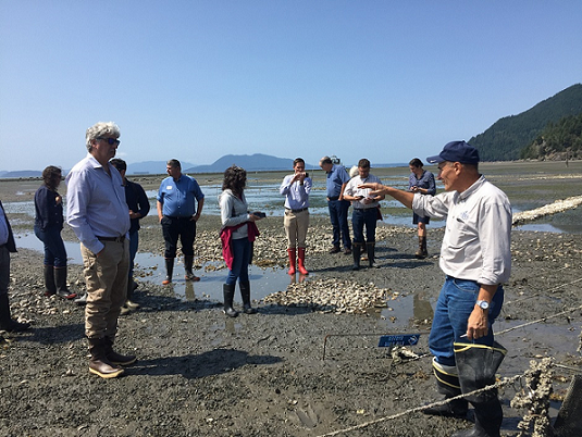 We're celebrating National #AgWeek with throwback to our visit with <a href="/taylorshellfish/">Taylor Shellfish</a> farm and 
<a href="/PSPartnership/">Puget Sound Partnership</a>! #PugetSound #cleanwater