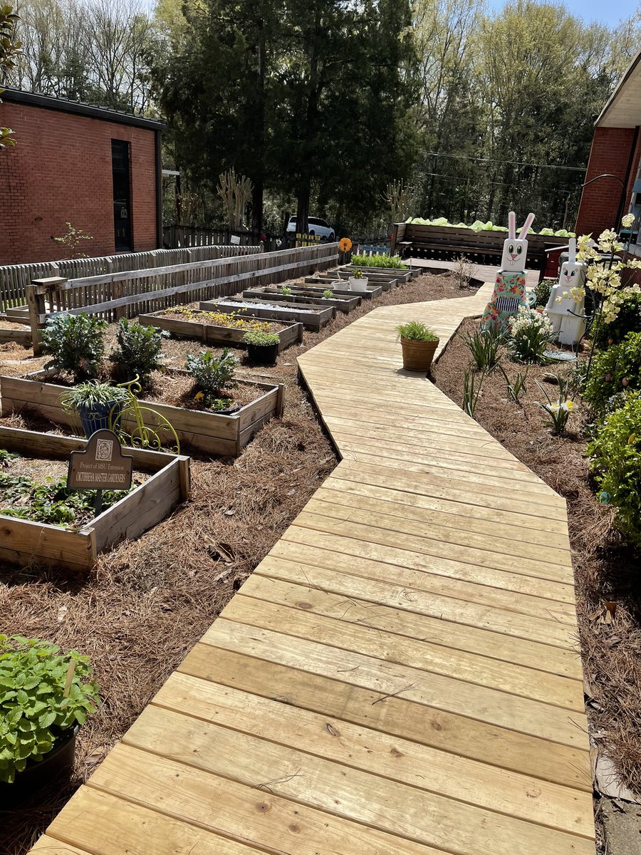 mdabraham's tweet photo. Spring has sprung in the SEEDS garden! The new boardwalk is so crisp and nice. @StarkvilleSD https://t.co/vrDjHU9yVU