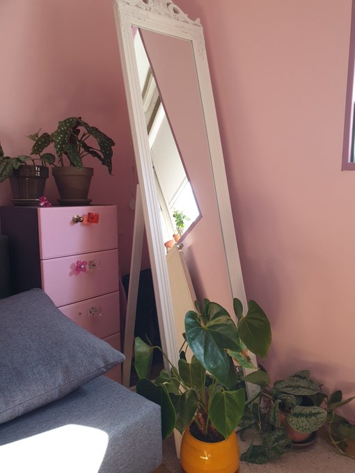 🌿 Je me suis cr&eacute;&eacute; une nouvelle petite jungle j'aime trop 🌿  Tu me donnes ta plante pr&eacute;f&eacute;r&eacute;e en commentaire