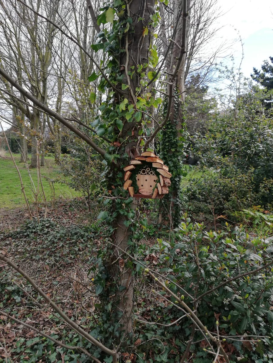 ClontarfTidy's tweet image. During #NationalTreeWeek2021 great to see 3 new trees planted in Kincora Drive. And nearby a very cute Bug Hotel. Expect to hear some 🐝in the area this summer. #GreenUpClontarf @DCCclontarf @3CounciI